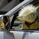 Illustration for article titled Yoda Is a Real Bastard When He Drinks and Drives